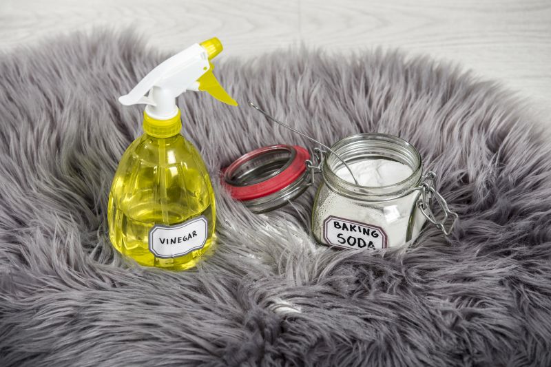 Odor Removal - Odor Removal Monmouth County, New Jersey